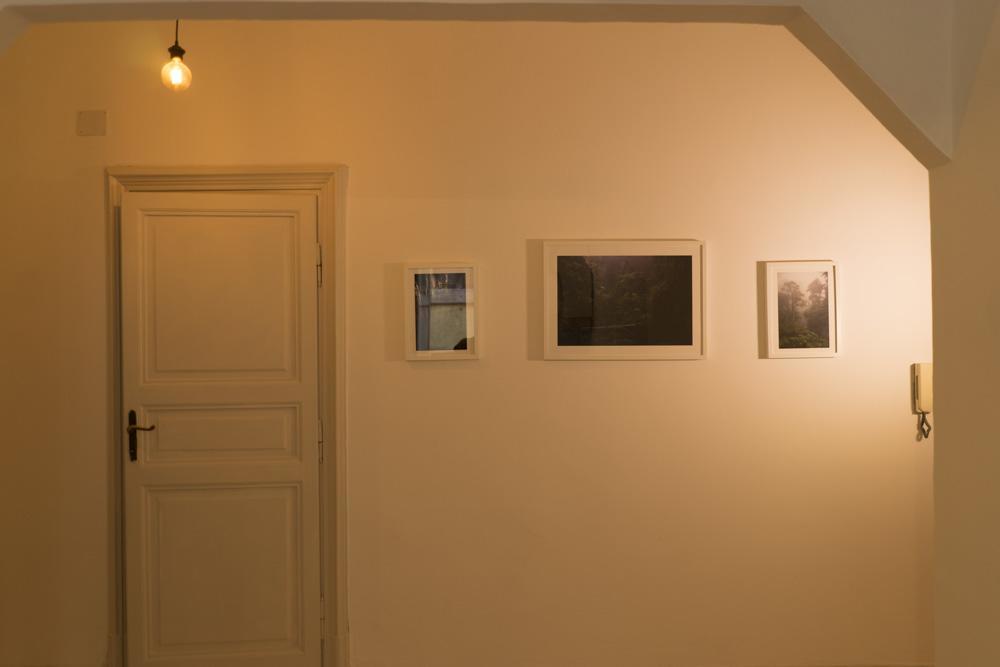 Trastevere Corner Eight Rome Exterior photo